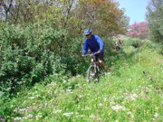 corfu-mountain-bike-rental-acharavi-47