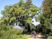 corfu-mountain-bike-rental-acharavi-48